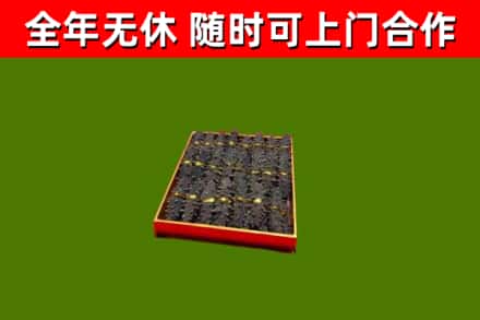 如东回收海参